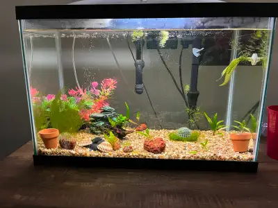 20g marineland fish tank aquarium -full setup over 500$ in value, View more