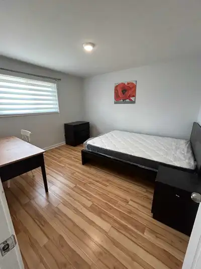 Furnished Room Located Centrally