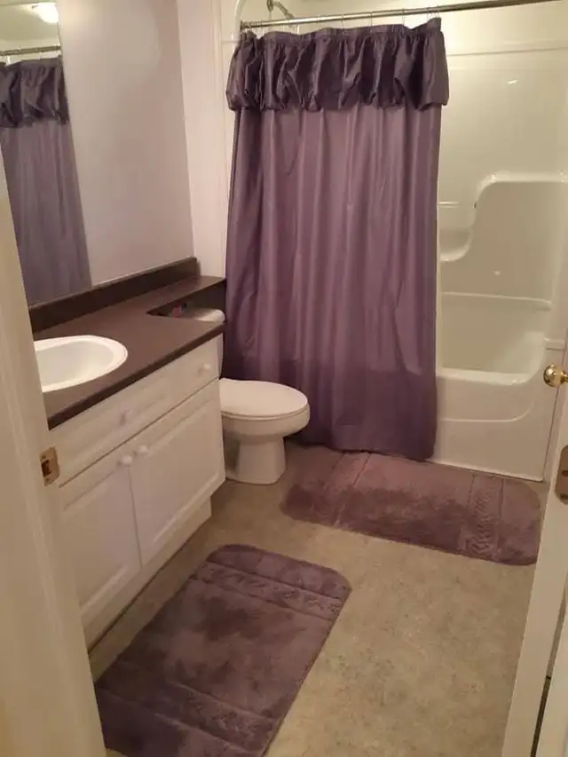 House Cleaners432921140496312322