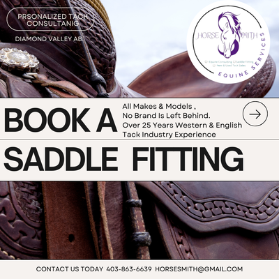 Saddle Fitting, View more