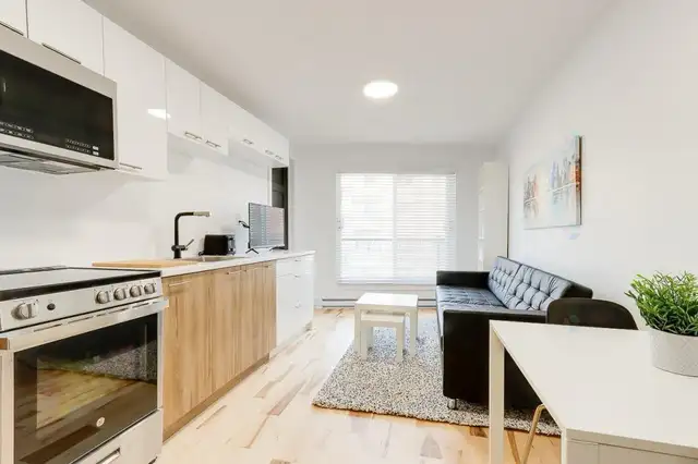 Studio/Loft Neuf à Louer et Appartement à Louer