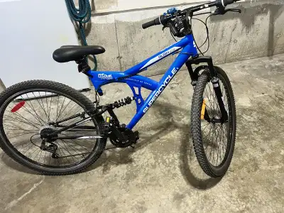 Dual suspension Super Cycle, View more