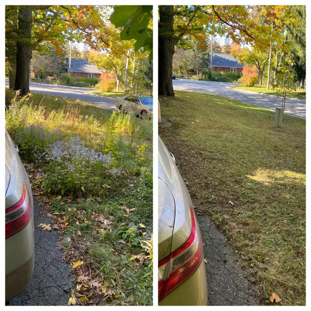 Scarborough, East York and Leaside Grass Cutting in Lawn, Tree Maintenance & Eavestrough in City of Toronto - Image 6