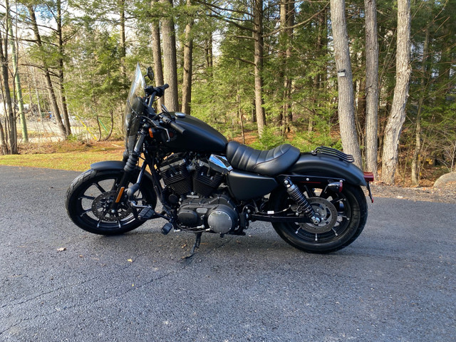 Harley Davidson 883 iron 2019 in Touring in Laurentides - Image 4