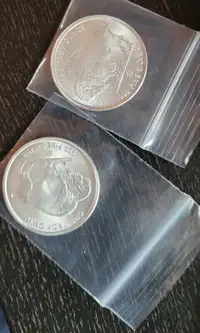 Lot 10 pieces en argent/silver bullion rounds 1 oz