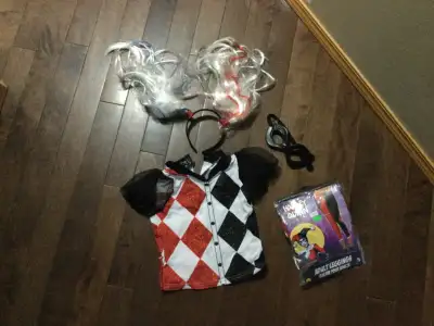 Harley Quinn costume, View more