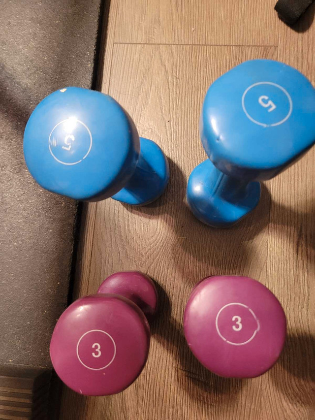 Free weights in Exercise Equipment in Kingston