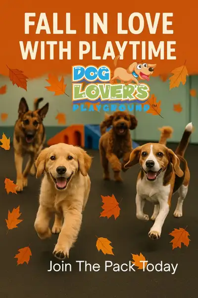 Come In From the Cold — Play Indoors All Season!, View more