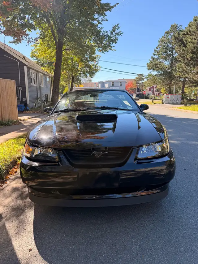 2002 Mustang manual601862351137034241