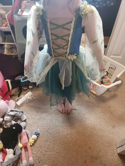 Fairy Princess Costume, View more