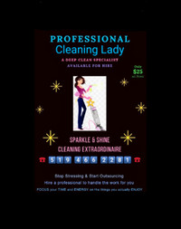 Professional Cleaning Lady