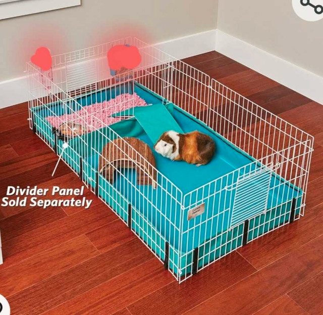 Midwest Guinea Pig Cage with divider  in Accessories in London - Image 4