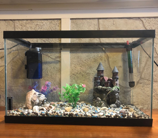10 Gallon Fish Tank, fully stocked  in Accessories in Comox / Courtenay / Cumberland
