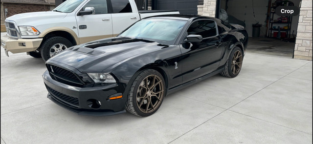 2011 Shelby GT500 in Cars & Trucks in Leamington