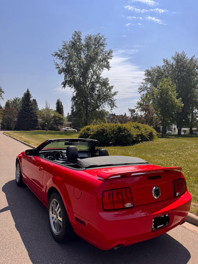 2005 MUSTANG GT CONVERTIBLE MANUAL in Cars & Trucks in Calgary - Image 4
