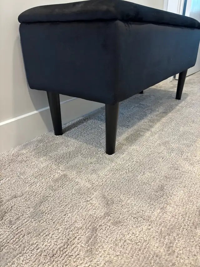 Black Velvet Storage Bench 62863269128194122