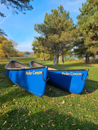 Esquif T-Formex Canoes 