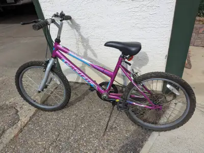 Pacific Chromium bike, 20 inch, EUC, View more