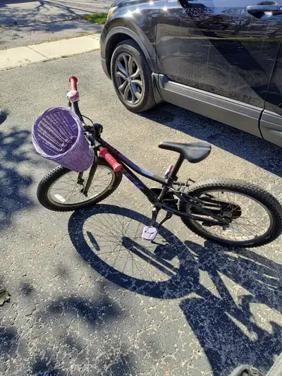 20" Precaliber Girls Trek Bicycle, View more