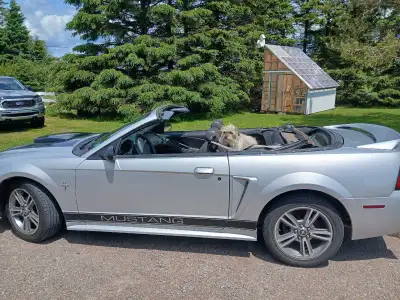3.8, headers, new mvi,new top, new eagle tires, works excellent, sounds good, just 240000kms,come ha...