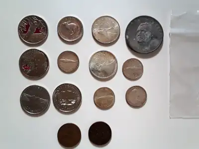 Canadian Coins for sale. some are shown in pictures. Prices vary depending on the coin. Pick Up or S...
