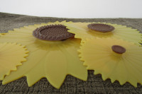 4 Charles Viancin Sunflower Silicone Lids Large Medium Small