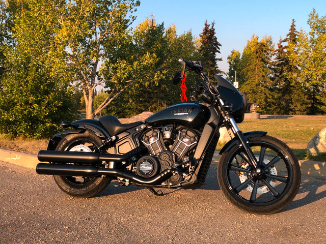 2022 INDIAN Scout Rogue (ABS) in Street, Cruisers & Choppers in Grande Prairie - Image 4