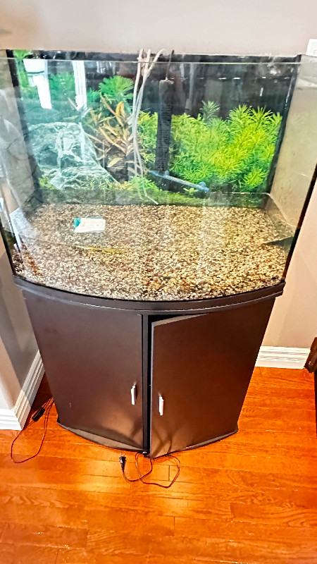 36 gallon Aquarium with tank, stand, cover w/ light in Accessories in Mississauga / Peel Region - Image 3