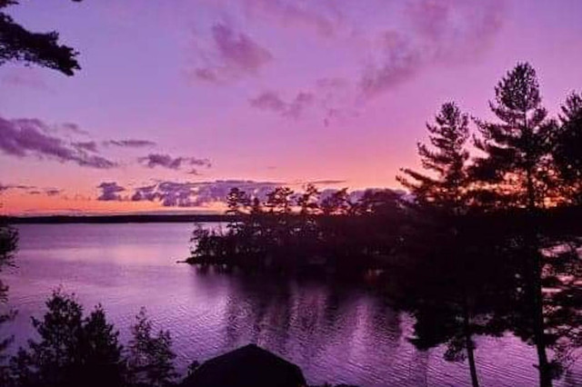 LAST-MINUTE MUSKOKA COTTAGE SPECIAL - Aug.23-30 in Ontario - Image 4
