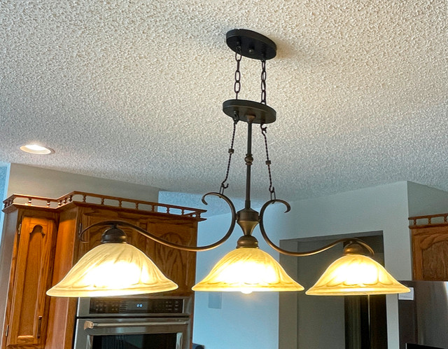 Kitchen Light-Oil Rubbed Bronze in Indoor Lighting & Fans in Calgary