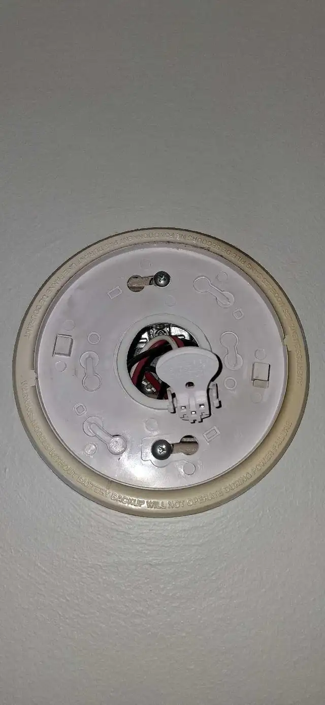 Property Maintenance573776289921781761