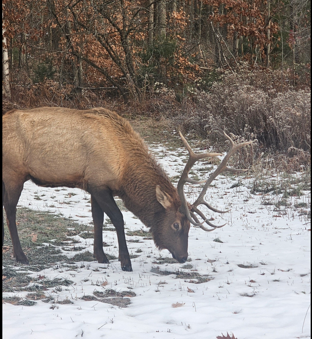 Private Land / Conservation64520061272193120