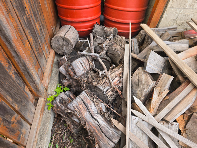Free scrap wood  and tree stumps for firewood in Free Stuff in Edmonton - Image 3