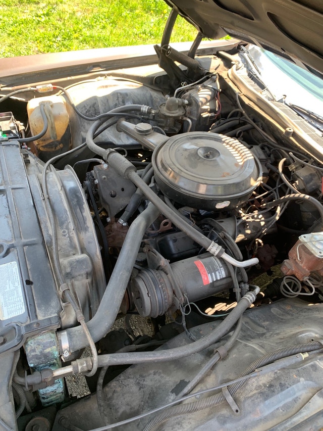 Impala 74 Classic Cars Ottawa Kijiji