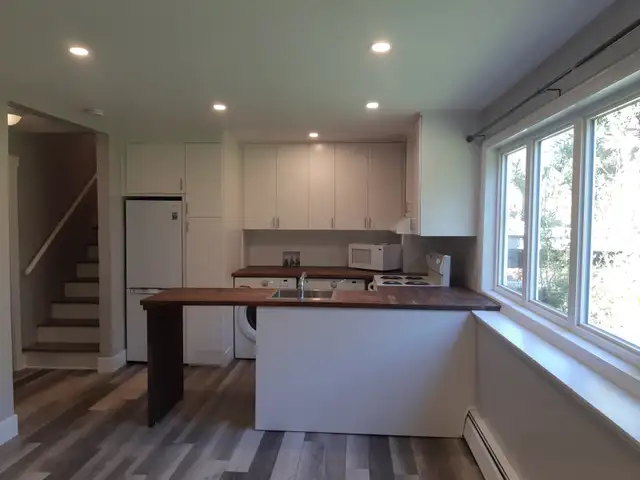 Newly Renovated One-Bedroom Apartment for Rent (Max 2 persons) in Long Term Rentals in Charlottetown - Image 6