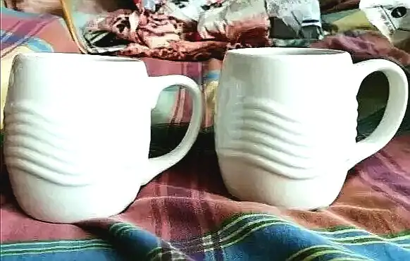 2 VINTAGE LIBBEY PORCELAIN MUGS