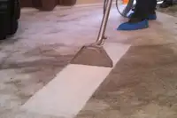 Instant Carpet and Sofa Clean