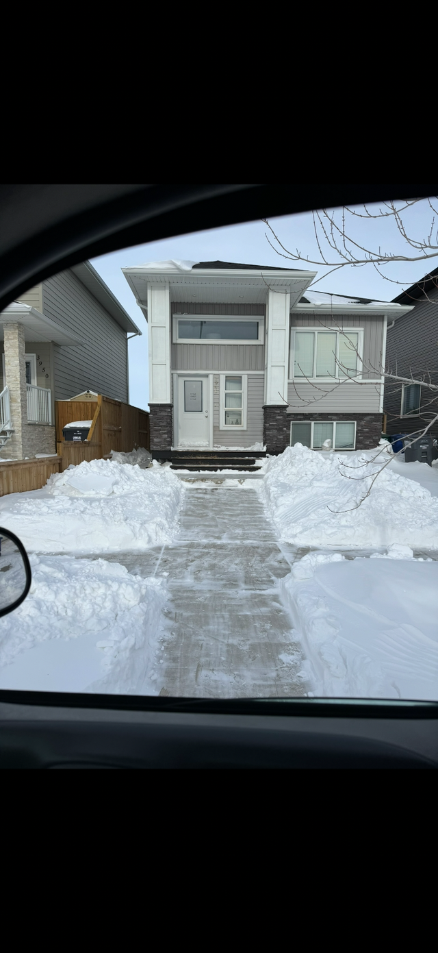 Yard clean up and snow removal services.