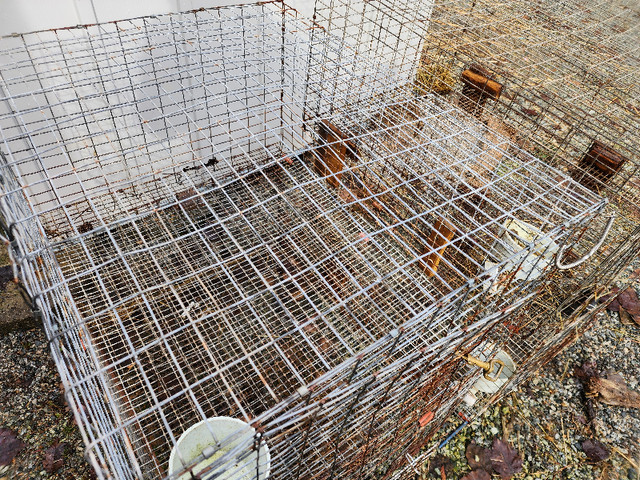 Wire rabbit cages in Livestock in Tricities/Pitt/Maple - Image 2