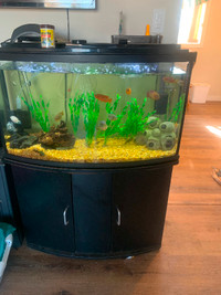 I have two fish tanks for sale
