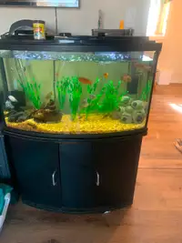 I have two fish tanks for sale