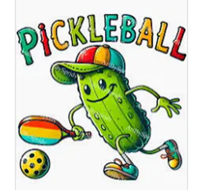 LEARN TO PLAY PICKLEBALL432473613607249920