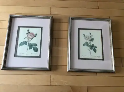 Beautiful Framed Botanic Prints - Redoute Roses, View more