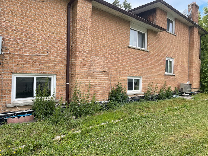 2 Bedroom Apt in detached home in Mill area in Richmond hill Long Term Rentals Markham