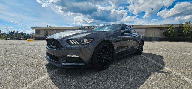 Must sell 2015 Mustang GT Premium in Cars & Trucks in Cranbrook