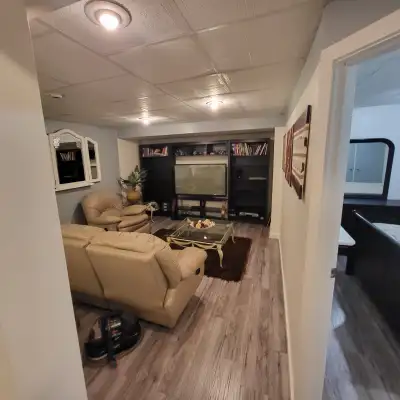 Large nicely furnished bright bedroom, living room, dining area (cabinets, microwave, mini fridge, t...