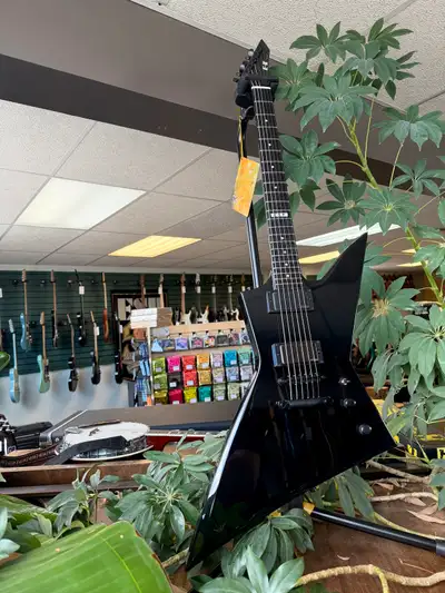 ESP E-II EX NT, View more