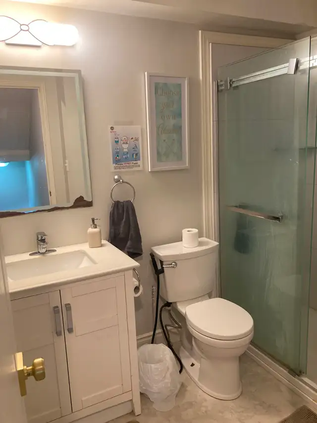 All inclusive - Respectful Student / Young Professional in Long Term Rentals in Cambridge - Image 5