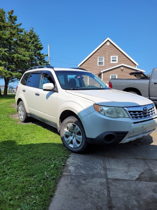 Subaru forester Cars & Trucks Cape Breton Kijiji