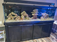 125g saltwater tank